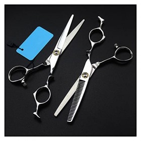 Ciseaux argentés de 6 pouces, ciseaux amincissants, ciseaux à dents, ciseaux de coiffeur, ciseaux de coupe de cheveux couleu