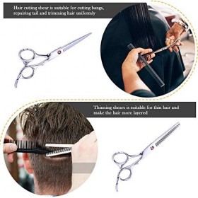 10 pièces Kit de ciseaux de coiffure professionnels ciseaux de coupe de cheveux ciseaux de cheveux peigne à queue Cape de che