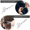 10 pièces Kit de ciseaux de coiffure professionnels ciseaux de coupe de cheveux ciseaux de cheveux peigne à queue Cape de che