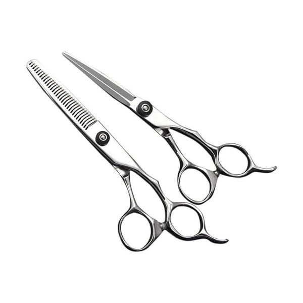 Ciseaux de coiffeur 6.0 pouces ciseaux de coiffure professionnels cisaillement plat + ensemble de cisaillement des dents cise