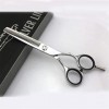 Ciseaux de coiffure Global Barber Ciseaux Professionnel Salon Cheveux Ciseaux Outil Coupe Dents Parfait pour Femmes et Hommes