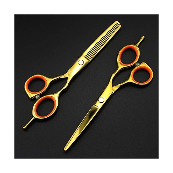 Ciseaux de coupe de cheveux de 5,5 pouces 4 couleurs Ensemble de ciseaux de coupe de cheveux amincissants