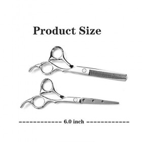 Kit de ciseaux de coupe de cheveux 6,0 pouces argent deux pièces en acier inoxydable de coiffureciseaux de coupe de cheveux c