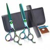 Coupe de cheveuxciseaux de coupe de cheveux Kit 6,0 pouces couleur coiffure professionnelleciseaux de coupe de cheveux coupe 