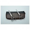 Ciseaux à cheveux Ciseaux de coupe de coiffure Ciseaux amincissants Outils de coiffure 2pcs Add Case Y 