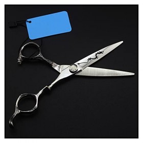 Générique Ciseaux Ciseaux de Coiffure Professionnels Coupe de Cheveux Produits de Coiffeur pour Coiffeur pour Salon de Coiffu