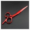 Générique Tondeuse à Cheveux Rouge 5/5.5/6 , Ciseaux, Coiffeur, Ciseaux de Coiffeur, Ciseaux de Coiffeur cisailles de Coupe