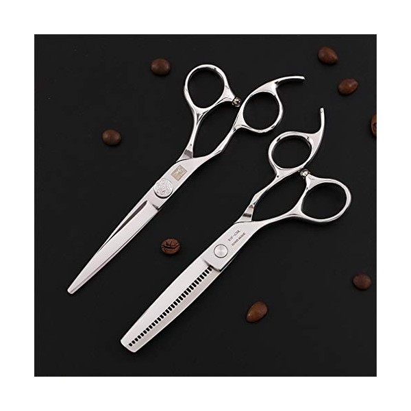 Ciseaux De Coupe De Cheveux De Coiffeur 6.0 Pouces-17.5CM, Ciseaux De Cheveux Professionnels Outil De Coiffage En Acier Inoxy