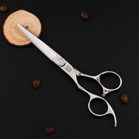 Ciseaux De Coupe De Cheveux De Coiffeur 6.0 Pouces-17.5CM, Ciseaux De Cheveux Professionnels Outil De Coiffage En Acier Inoxy