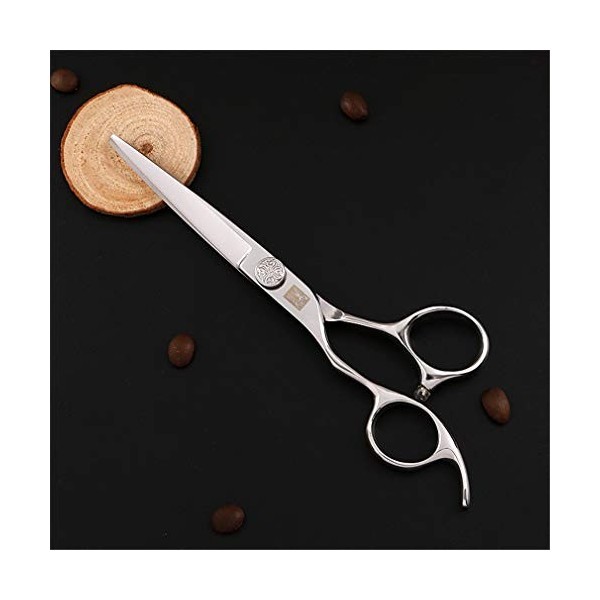 Ciseaux De Coupe De Cheveux De Coiffeur 6.0 Pouces-17.5CM, Ciseaux De Cheveux Professionnels Outil De Coiffage En Acier Inoxy