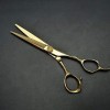 Ciseaux de coiffeur ciseaux de coiffure professionnels à deux queues de ciseaux de coupe de cheveux-6.0_ barbiers de Salon ou