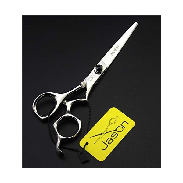 Ciseaux Professionnels, Ensemble De Ciseaux De Coiffeur Professionnels Haut De Gamme Ensemble De Ciseaux De Coiffure 6,0 Pouc