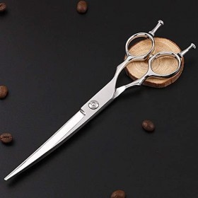 Générique Ciseaux De Coiffure 6,0 Pouces, Ciseaux De Coiffeur Professionnel avec Ciseaux De Coiffeur Pointus Ciseaux Aminciss