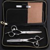 Coupe Coiffure Cheveux Ciseaux Set Professional 6.0 Pouces 440C Anti-Dérapant Résistant À lusure des Dents Barbershop Plat C