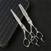 Professionnel Japon 440C Argent Coiffure Ciseaux De Coiffure Set 6.0 Pouces Salon De Coiffure Ou À La Maison Utilisez Droites