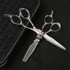 Professionnel Japon 440C Argent Coiffure Ciseaux De Coiffure Set 6.0 Pouces Salon De Coiffure Ou À La Maison Utilisez Droites