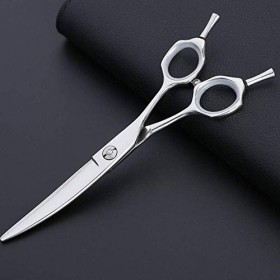 GaoF Ciseaux de Coiffure Professionnels de 6 Pouces, Ciseaux pour Animaux de Compagnie, résistants à la Corrosion Argent 