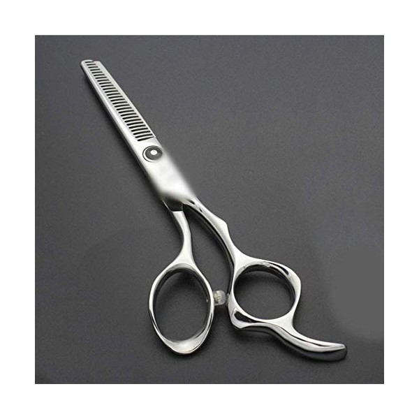 GaoF Ensemble de Coiffure Professionnel de Ciseaux Plats + Dents de 5,5 Pouces, Ciseaux de Coiffure Professionnels Haut de Ga