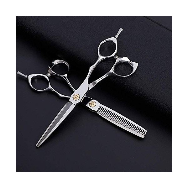 GaoF Ensemble de Ciseaux de Coiffure Plat + à Dents pour Coiffeur de 6 Pouces, Ensemble de Ciseaux de Coiffure à poignée Obli