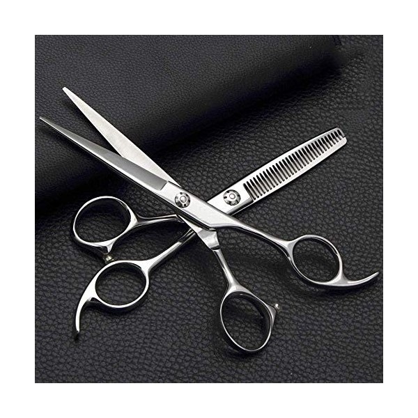 GaoF Ensemble de Coiffure Professionnel de 6 Pouces, Ensemble de Ciseaux de Coiffure en Acier Inoxydable Ciseaux Plats + Cise