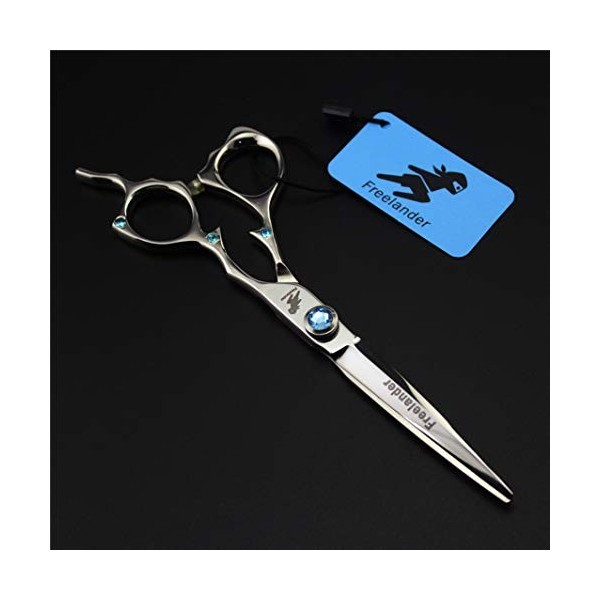 Professional 6.0 Pouces Argent Ciseaux de Coiffure + Diluant Dents Coupe de Cheveux Ciseaux 440C Set Haut de Gamme Barber Sal