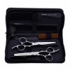 6 Pouces Haut de Gamme Professionnel Coiffeur 440C Coiffure Set Salon de Coiffure Ciseaux rhéofluidifiant Haircut Salon Coiff