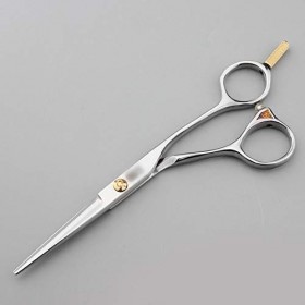 Minicocock 5,75 Pouces Coiffeur Professionnel Plat + Scissor Dents Set Ciseaux Color : Silver 
