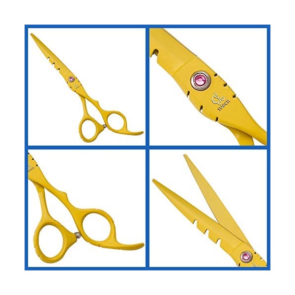 Ensemble de ciseaux de coupe de cheveux de coiffeur 6,0 pouces dents plates jaunes