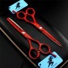 KOAIEZ 6,0 Pouces Rouge 440C Salon en Acier Inoxydable Barber Coiffure De Cisaillement, Kit De Ciseaux De Coupe De Cheveux Pr