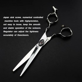 Ciseaux de coupe de cheveux, 6 pouces en acier inoxydable argenté, coupe amincissante, ciseaux de coiffure pour barbier Rasag...