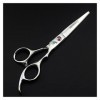 Cisailles pour la Coupe de Cheveux 6,0 Pouces Coiffure Ciseaux Coiffure Pointue Ciseaux Ciseaux Coiffeur Rasoir Coiffeur Cise