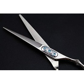 Ciseaux professionnels, ensemble de ciseaux de coupe de cheveux professionnels Ensemble de ciseaux de coiffure 6,0 pouces en 