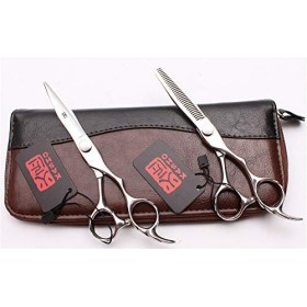 Ciseaux professionnels, 6,0 pouces Ciseaux de coiffure professionnels Ensemble de ciseaux de coiffeur Japon Acier 440C Durabi