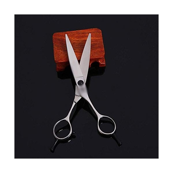 GaoF Ciseaux de Coiffure Professionnels pour Coiffeur de 6 Pouces Outils de Coiffure Haut de Gamme Ciseaux de Curling, résist