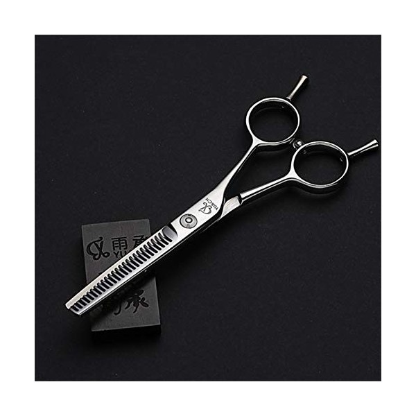 WJY Ciseaux de Coiffure 6 en Double Queue en Acier Inoxydable Dilution Ciseaux Cheveux clairsemés Ciseaux Professionnel for S