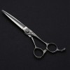 Ciseaux de coiffure professionnels de coiffeur en acier inoxydable 6 pouces, argent, coupe de dents 6 pouces argent flatcut 