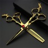 KOAIEZ Ensembles De Ciseaux De Coupe De Cheveux De 6,0 Pouces Gold Professional GEM , Cisaillements De Coiffure Multifonctio