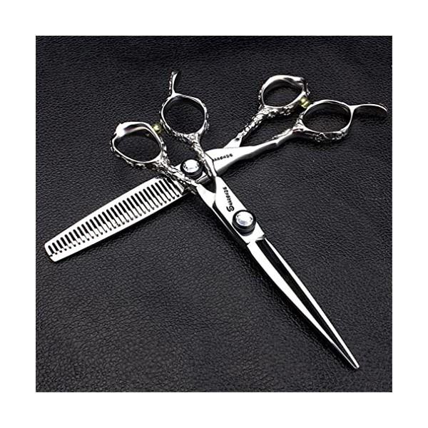 KOAIEZ Ensembles De Ciseaux De Coupe De Cheveux De 6,0 Pouces Argent , Cisaillements De Coiffure Multifonctionnels 440C en A