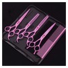 CADENABEAR Ciseaux de Coiffure Kit de caissons de Ciseaux de beauté kit de Coiffure à Cheveux Cisaillement pour la Coupe des 