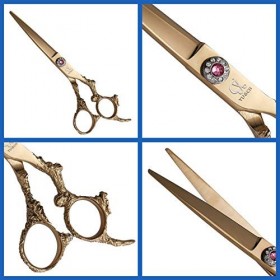 WYGC Coiffure Professionnelle 6,0 Pouces dor Dents Coupées à Plat Coiffure Frange Kit De Ciseaux De Coiffeur Professionnel H