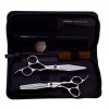 Ciseaux Cheveux Kits, 440C En Acier Inoxydable 6 Pouces Coiffure Barbiers Ciseaux Outils Set, Pour Lhomme Et Les Femmes Salo