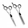 HIJIN Ciseaux Cheveux, Coiffure Kits Barbiers Ciseaux Outils Set 440C en Acier Inoxydable 6 Pouces , Salon De Coupe De Cheve