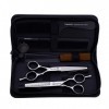 HIJIN 6,0 Pouces Ciseaux De Coupe De Cheveux Ensembles, Salon De Coiffure De Coiffeur Kits Ciseaux avec Peigne, pour Les Barb