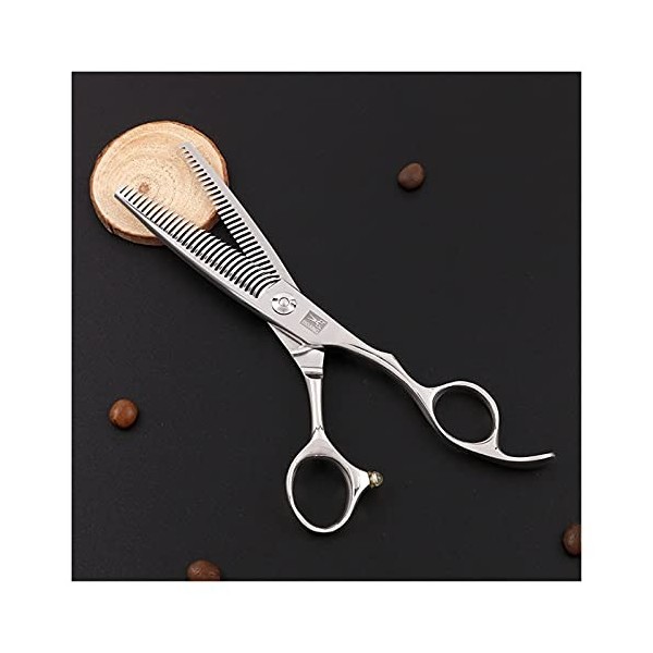 Générique Cisailles pour la Coupe de Cheveux Argent Double Face Coiffure Ciseaux, Cheveux Professionnels de Bord de Rasoir, C