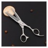 Générique Cisailles pour la Coupe de Cheveux Argent Double Face Coiffure Ciseaux, Cheveux Professionnels de Bord de Rasoir, C