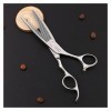 Générique Cisailles pour la Coupe de Cheveux Argent Double Face Coiffure Ciseaux, Cheveux Professionnels de Bord de Rasoir, C