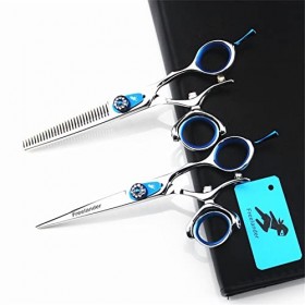 leybold Ciseaux de Coiffure Professionnels Ensemble de Ciseaux de Coiffure de 6,0 Pouces, Ciseaux de Cheveux de Coiffure de S