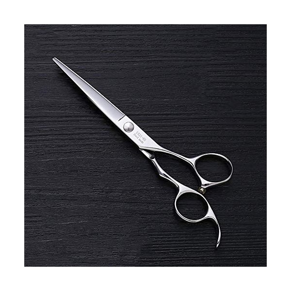 Outils de coupe des cheveux Tondeuse à cheveux en acier inoxydable, cisailles à main, 6 po pour femme Color : Silver 