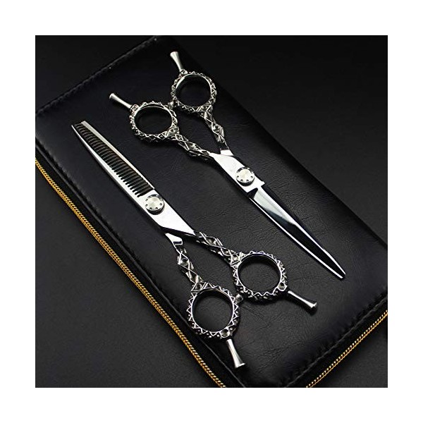 Professionnel Ciseaux de coiffeur Ciseaux de coiffure Set 6,0 pouces salon de coiffure Ciseaux de coiffure Ciseaux, outil de 