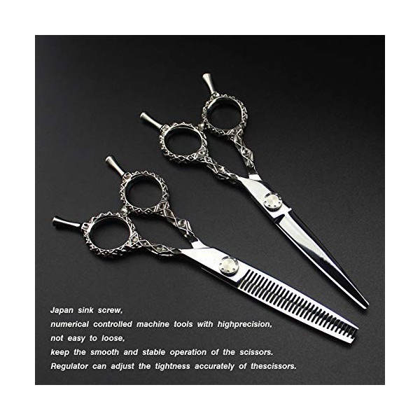 Professionnel Ciseaux de coiffeur Ciseaux de coiffure Set 6,0 pouces salon de coiffure Ciseaux de coiffure Ciseaux, outil de 